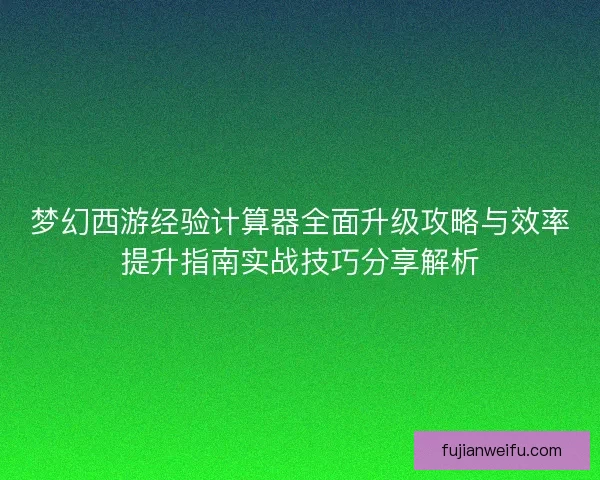 梦幻西游经验计算器全面升级攻略与效率提升指南实战技巧分享解析
